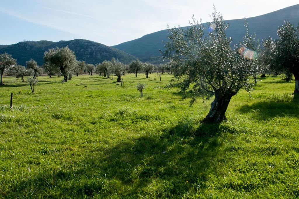 לינה וארוחת בוקר אלבדוס Casa Boho - Turismo Rural מראה חיצוני תמונה